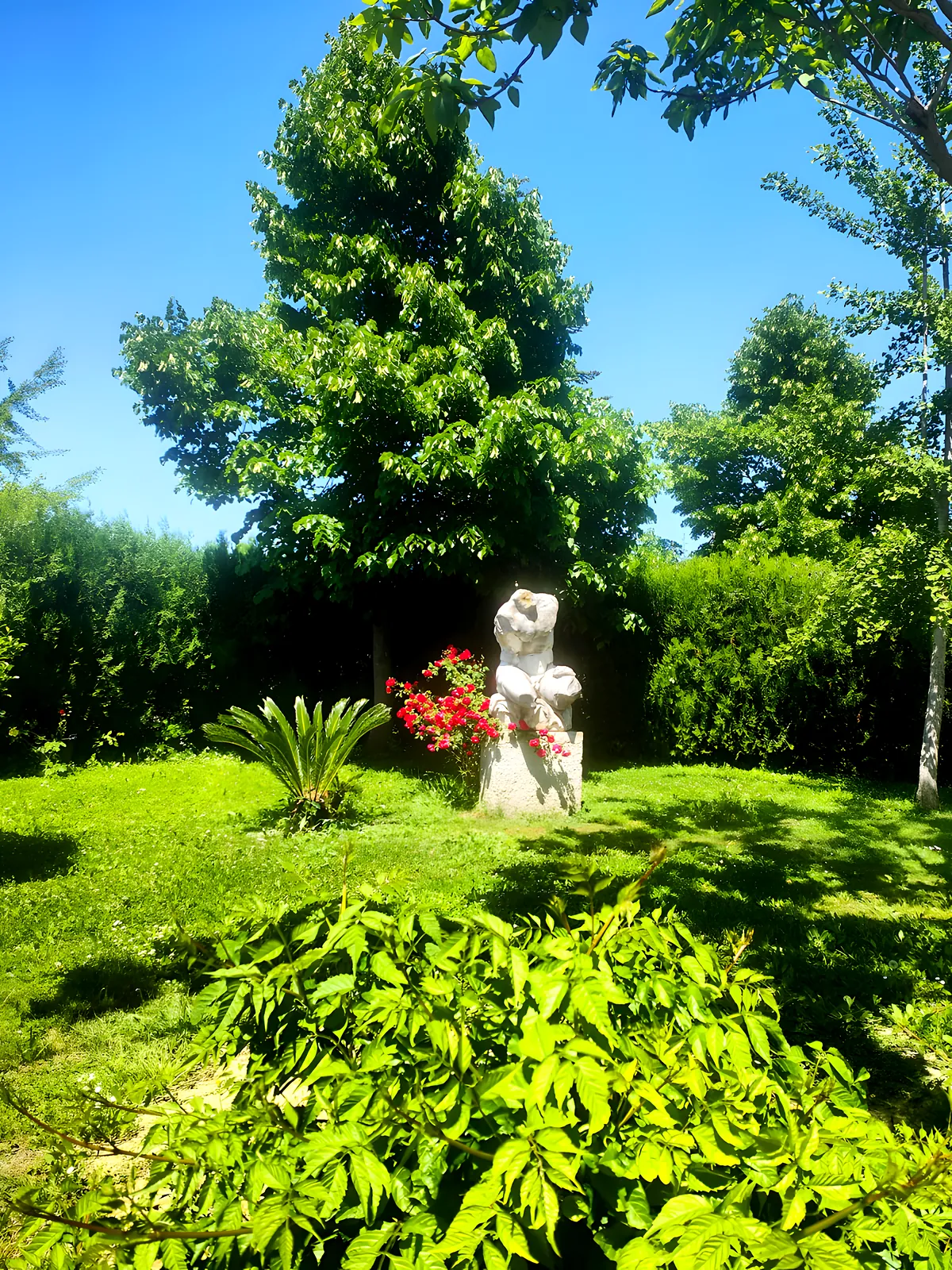 Una scultura bianca tra le rose rosse nel giardino