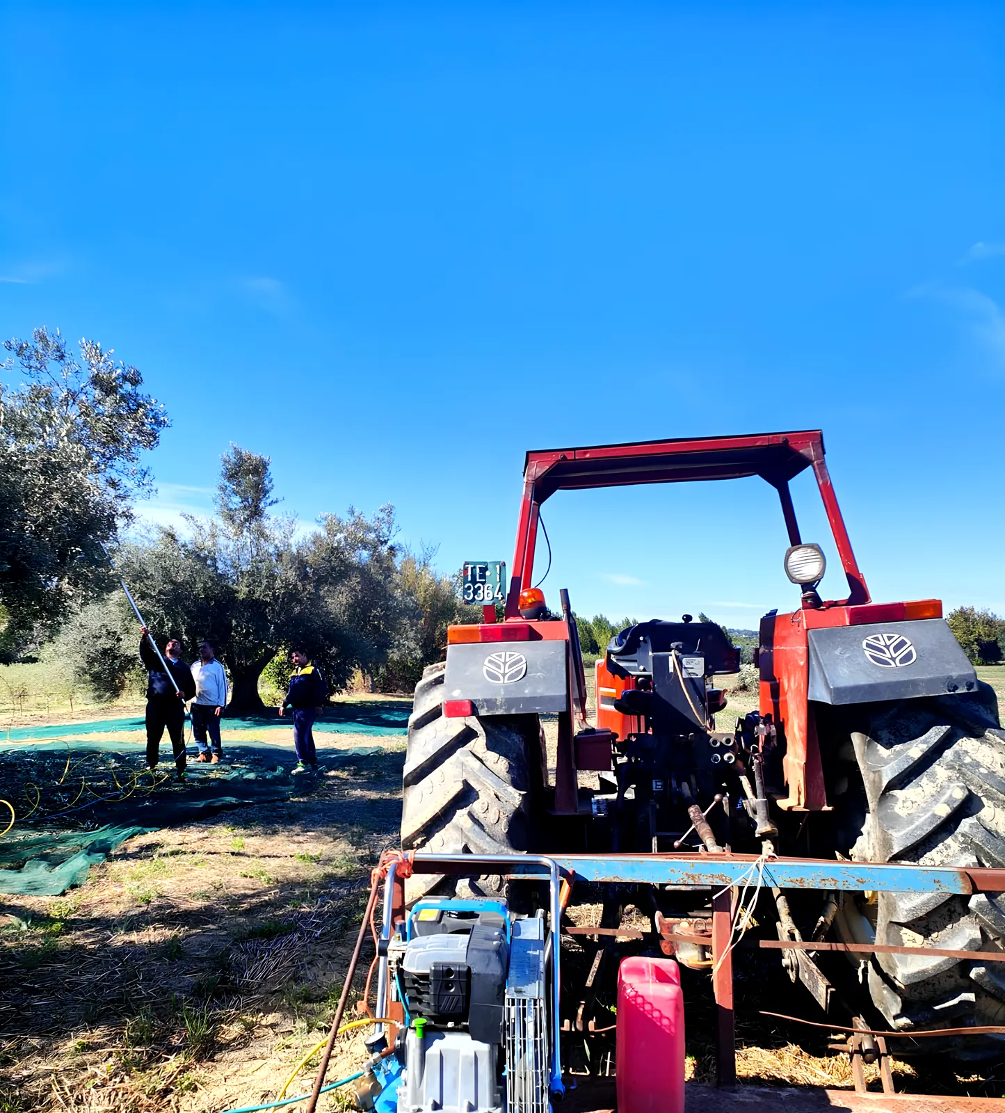 Il trattore pronto per la raccolta tra gli ulivi